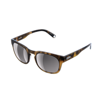Sunglasses POC Require Tortoise Brown - 2023/24