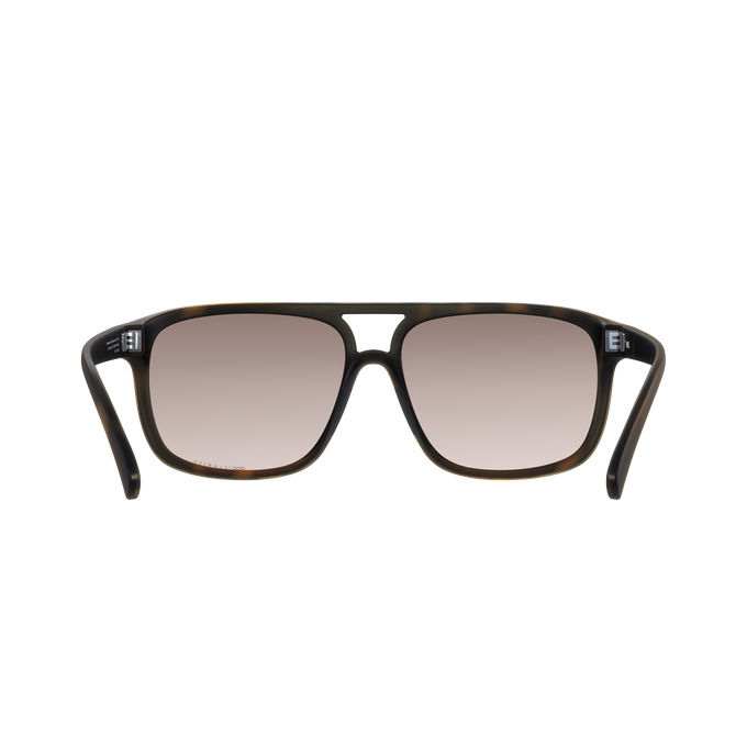 Sunglasses POC WILL Tortoise Brown - 2023/24
