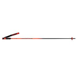 Ski poles Rossignol Hero Carbon - 2025/26