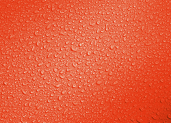 Pack sack Deuter Light Drypack 5 Papaya - 2023