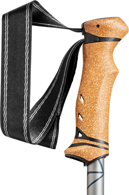 Poles LEKI Legacy Lite