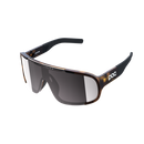 Tortoise Brown/Clarity Road/Sunny Silver