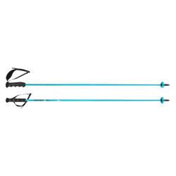 Ski poles HEAD Worldcup Rebels Carbon Speed Blue - 2025/26