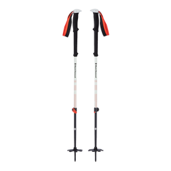 Tourenstöcke Black Diamond Expedition 2 Ski Poles - 2023/24