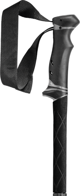 Poles LEKI Legacy FX TA - 2023