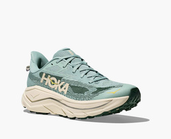 Men shoes Hoka Challenger 8 Jade/Truffle Salt