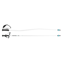 Ski poles HEAD Worldcup SG White - 2025/26