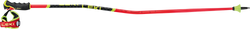 Skistöcke LEKI WCR GS Carbon 3D Red - 2025/26