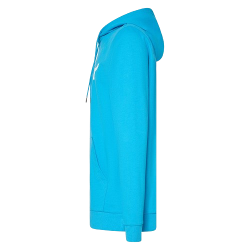 Oakley B1B PO Hoodie 2.0 Swimming Blue