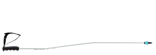 Ski poles HEAD Worldcup SG - 2023/24