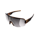 Tortoise Brown/Clarity Road/Sunny Silver