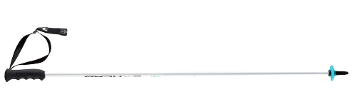 Skistöcke HEAD Worldcup SL Junior - 2023/24