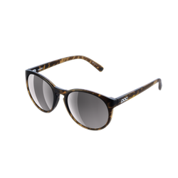 Sunglasses POC Know Tortoise Brown/Clarity Road/Sunny Silver