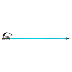Ski poles HEAD Worldcup SL Speed Blue - 2025/26