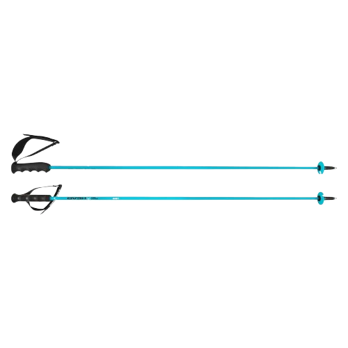 Skistöcke HEAD Worldcup Rebels Carbon Speed Blue - 2025/26