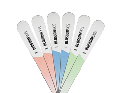 Ski Blossom Skis Turbo AM77 Multiflex PR Base + PRD 12 - 2024/25