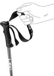 Skistöcke LEKI QNTM Blue - 2025/26