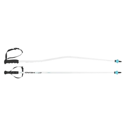 Ski poles HEAD Worldcup SG JR White - 2025/26