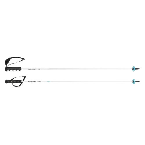 Ski poles HEAD Worldcup Rebels Carbon White - 2025/26