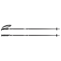Ski poles Atomic Cloud Black - 2025/26