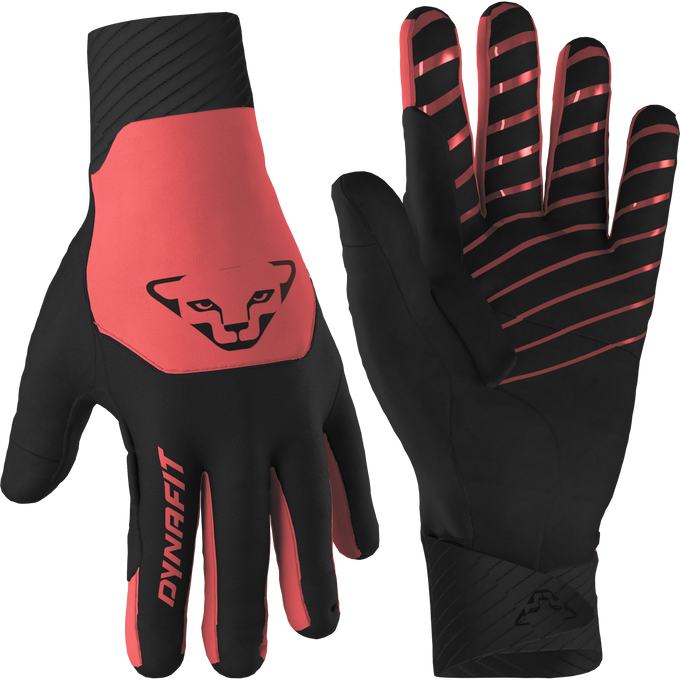 Gloves Dynafit Blacklight Softshell Gloves Cabana - 2025/26